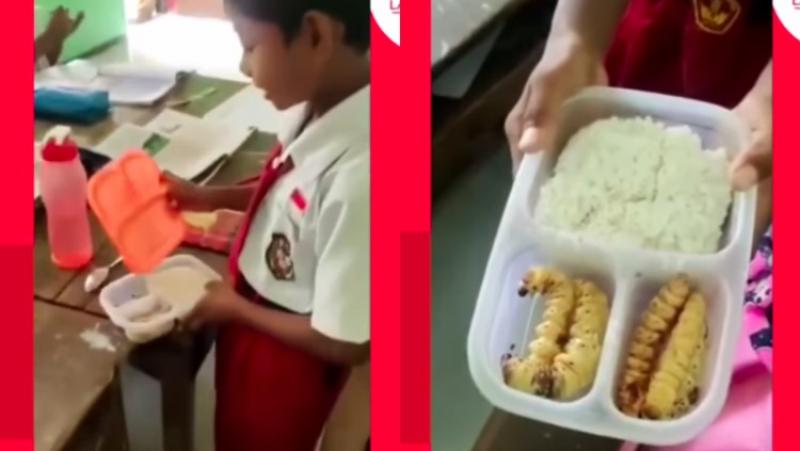 Foto blog Viral di Medsos Anak SD Bawa Bekal Ulat Sagu ke Sekolah, Ternyata Kaya Gizi